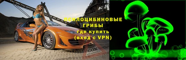 mdpv Белая Холуница