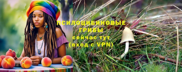 mdpv Белая Холуница