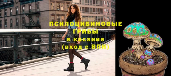 стафф Аша