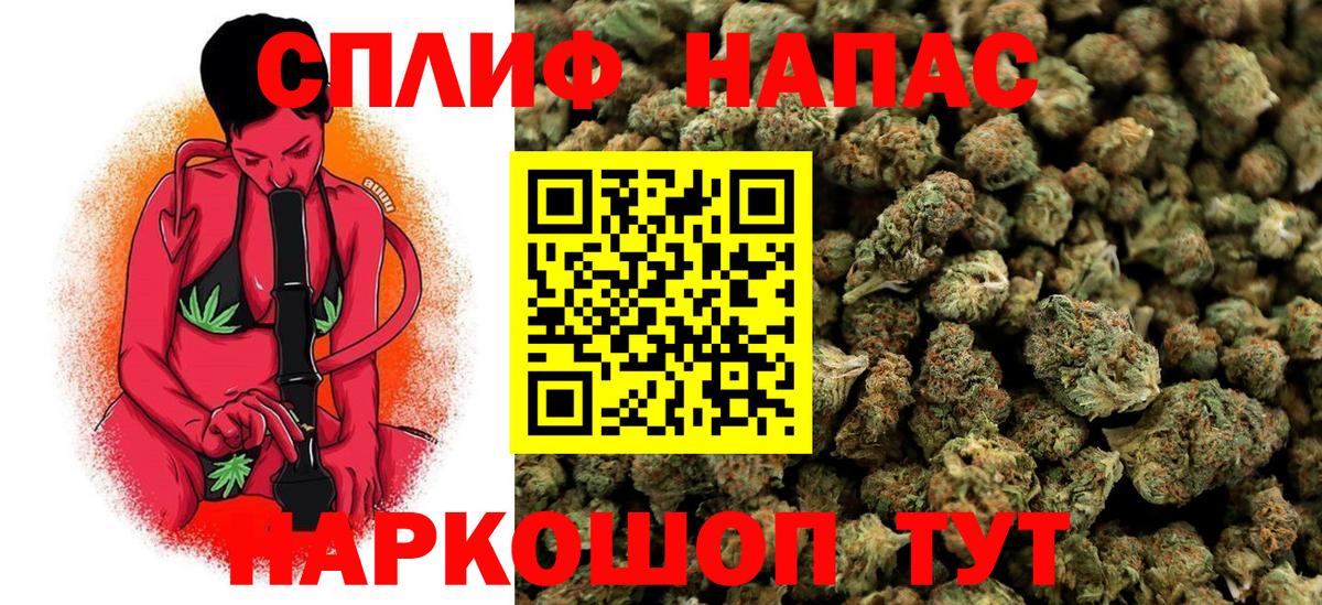 МЕФ Смоленск